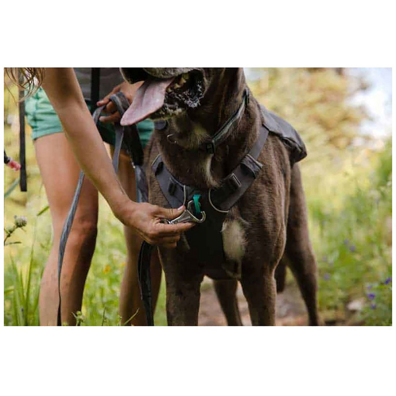 Ruffwear Switchbak Hundegeschirr