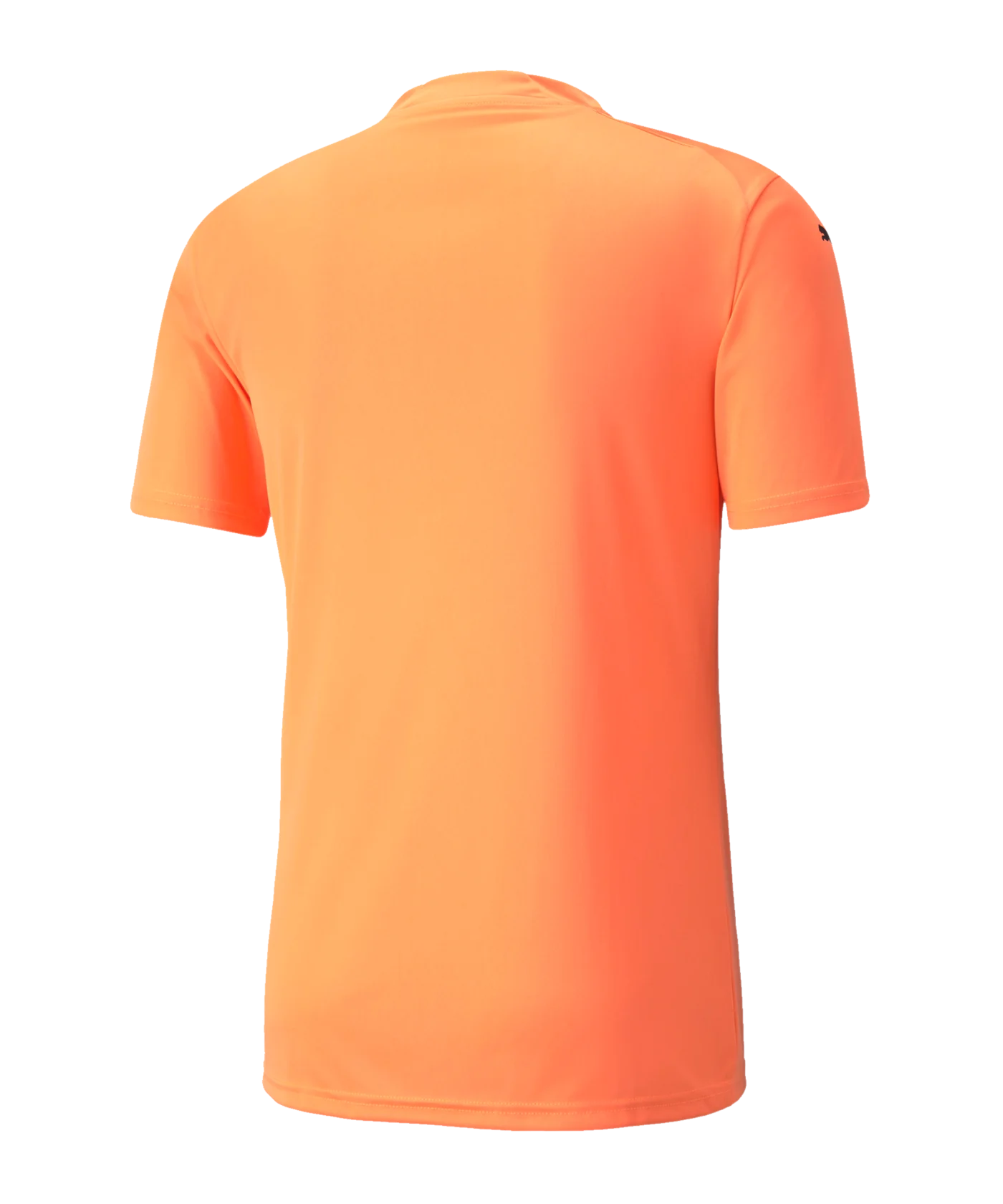 PUMA teamGLORY Trikot Kids Orange F21