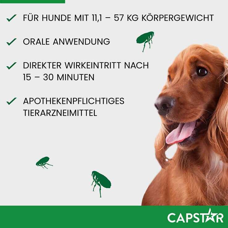 CAPSTAR 57 mg Tabletten für große Hunde, 6 St