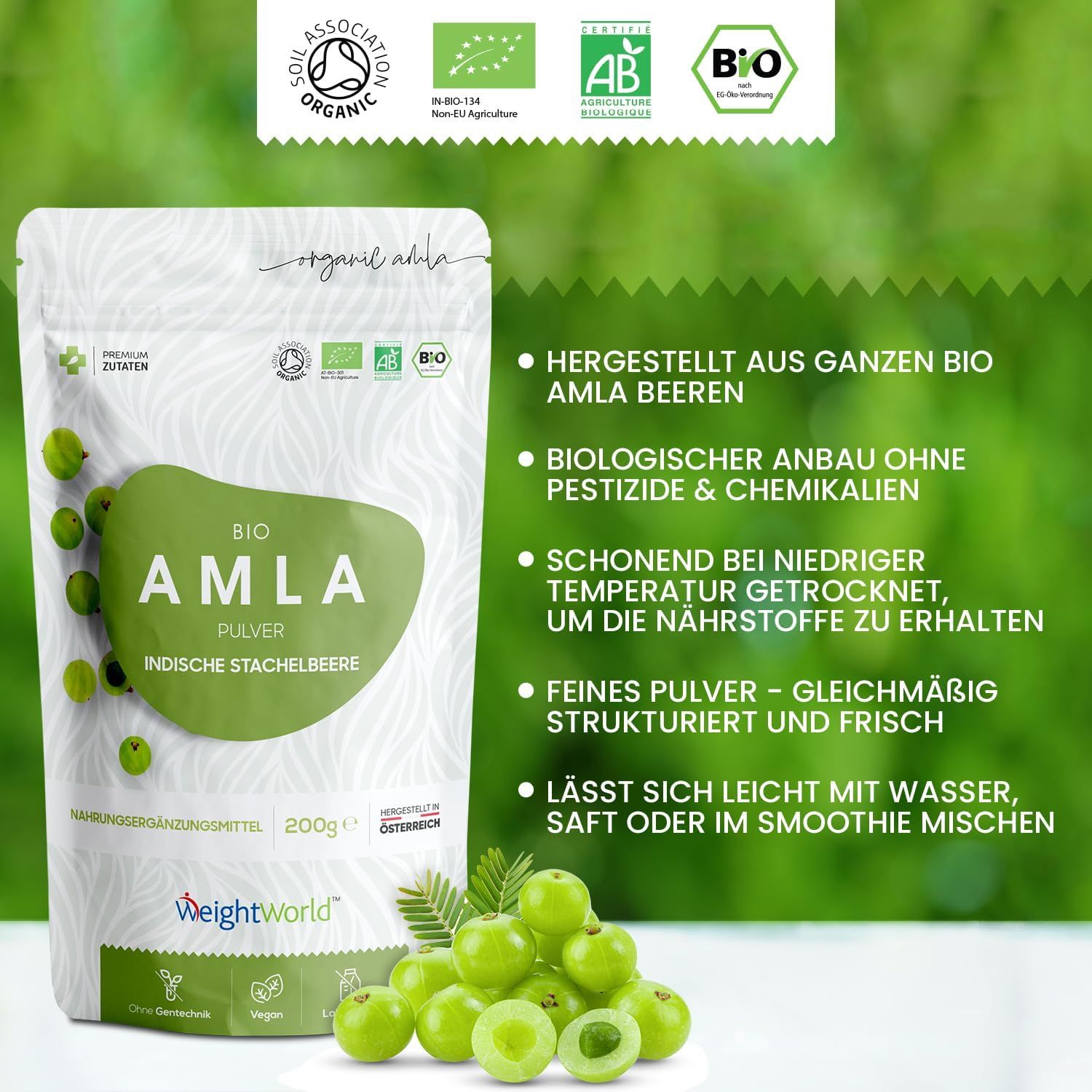 WeightWorld Bio Amla Beeren Pulver
