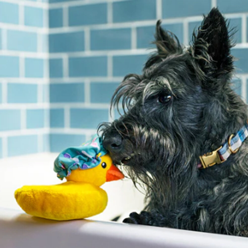 P.L.A.Y. Bubbles the Duck