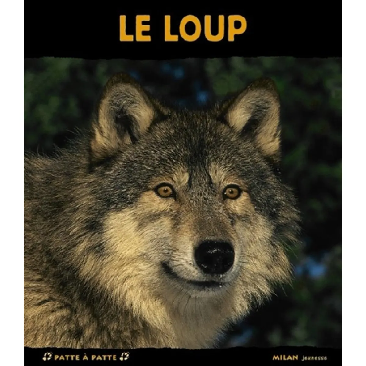 Le loup · Occasion
