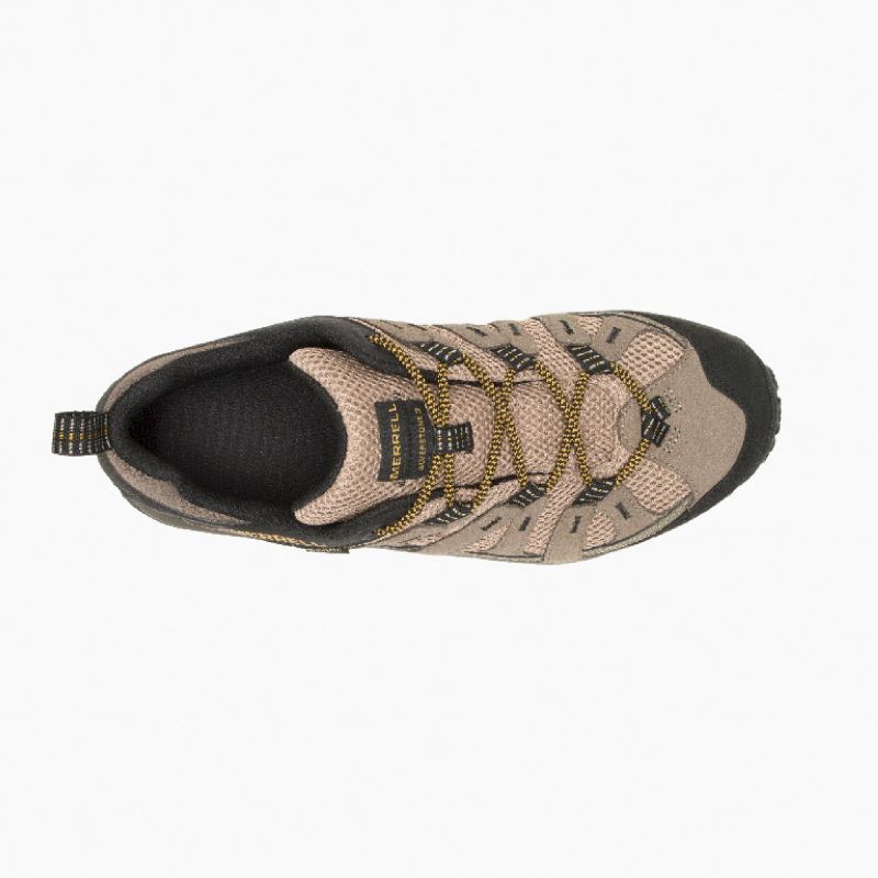 Alverstone 2 GTX - Chaussures randonnée homme