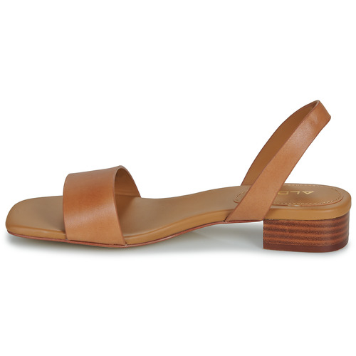 Aldo - DORENNA - Camel