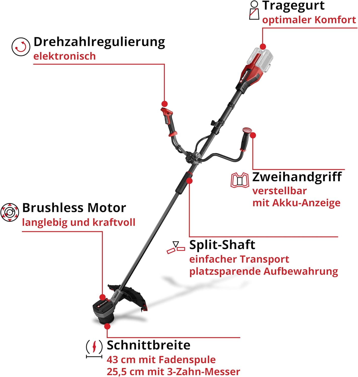 Einhell Professional Akku-Sense GP-BC 36/430 Li BL - Solo Power X-Change (36 V, Brushless, 43 cm Schnittbreite, Doppelfaden mit Tippautomatik, 3-Zahn-Messer, ohne Akku)