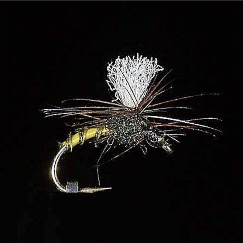 Mouche Jmc Parachutes Dc 4 Bl