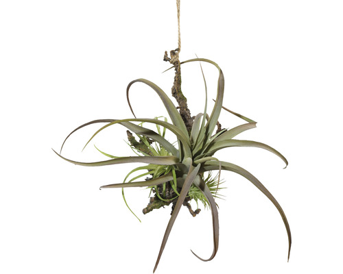 Kunstplant op tak, hoogte: 27 cm, groen