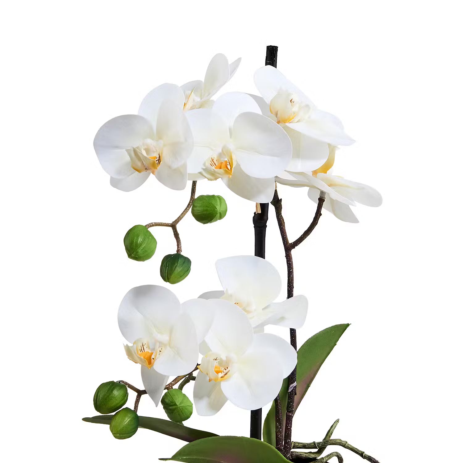 FLORISTA Kunstpflanze Orchidee 4er-Set