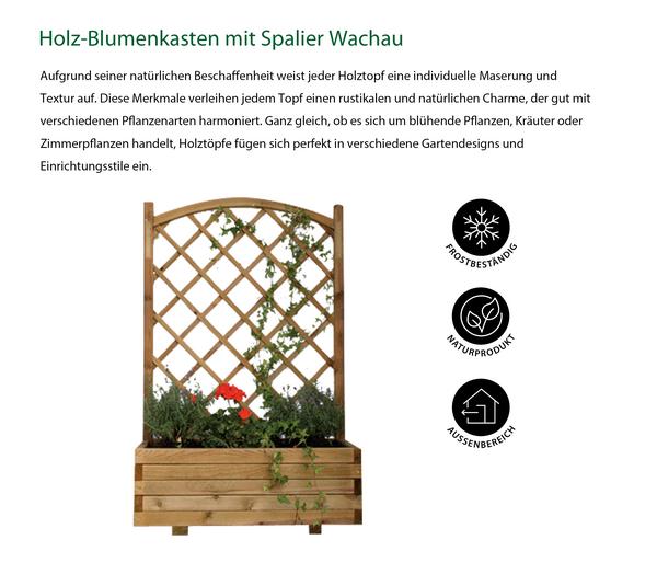 Dehner Holz-Blumenkasten mit Spalier Wachau,