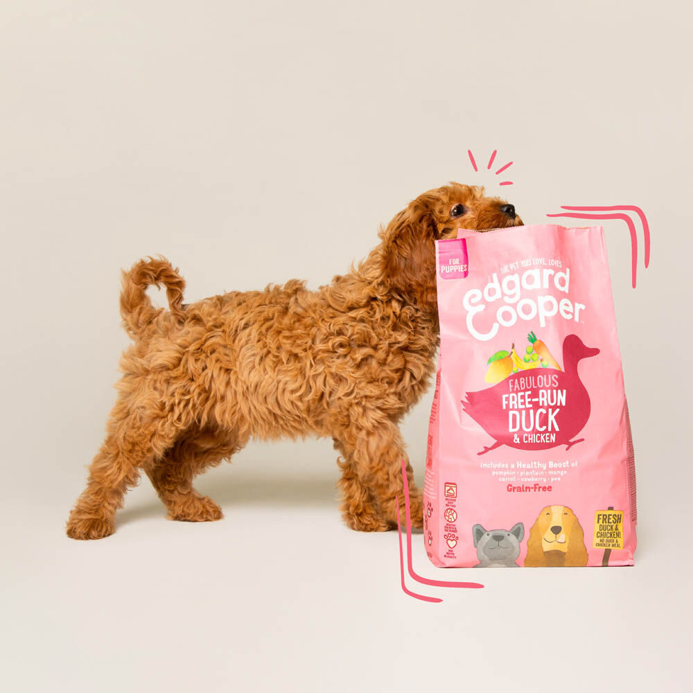 Edgard & Cooper Puppy - Hondenvoer - 12 Kilogram - eend, kip