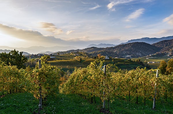 Champagner, Sekt & Prosecco Schriesheim als Geschenkidee