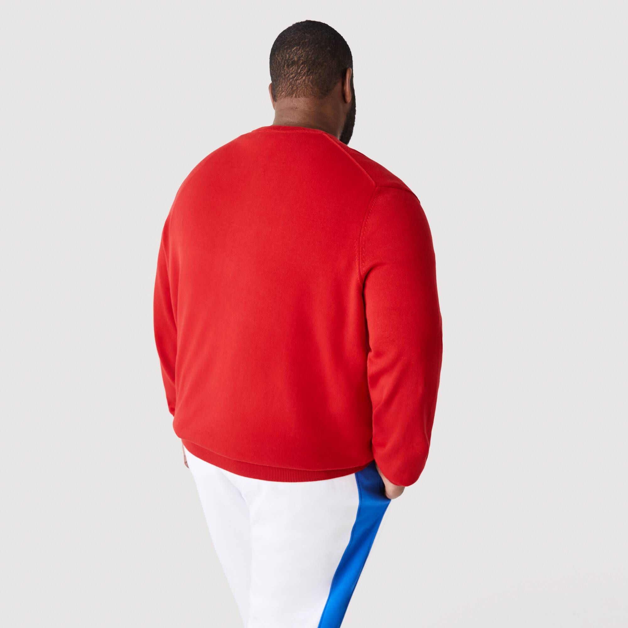 Pull à col V en coton biologique uni Pullovers - Rouge - Lacoste - Homme