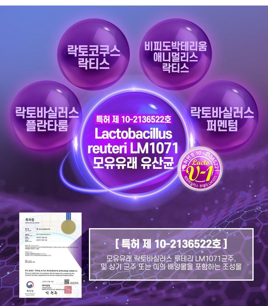 BOTO - Postbiotica Proline Lactobacillus