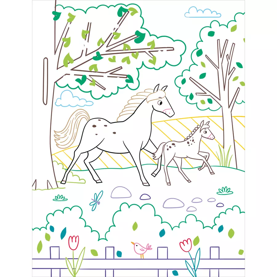 arsEdition Zauberbilder Pferde & Ponys