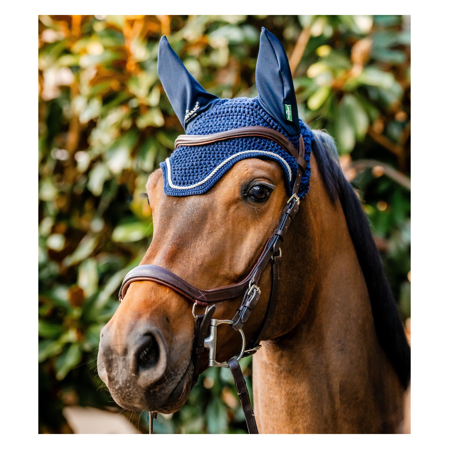 HORSEWARE Signature Fliegenohren  - navy - VB/WB