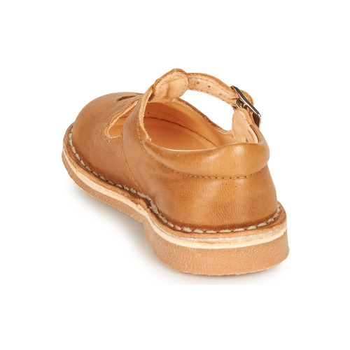 Aster - DINGO - Camel
