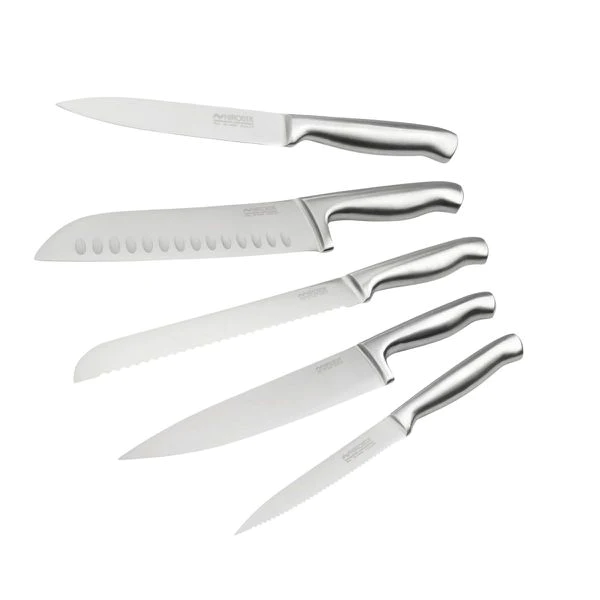 Ensemble de 5 couteaux de cuisine professionnels en inox Star