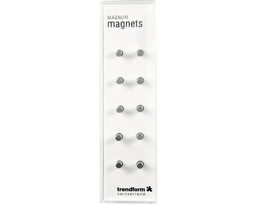 Magnum decoratieve magneten, set van 10, zilver