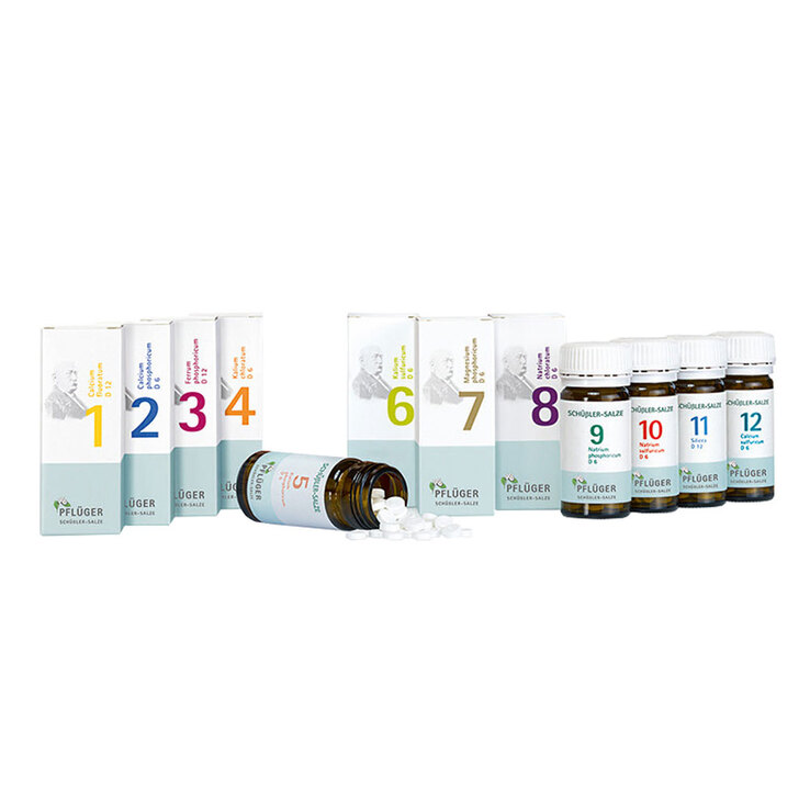 Biochemische Haus / Reiseapotheke Pflüger Tabletten, 1 St