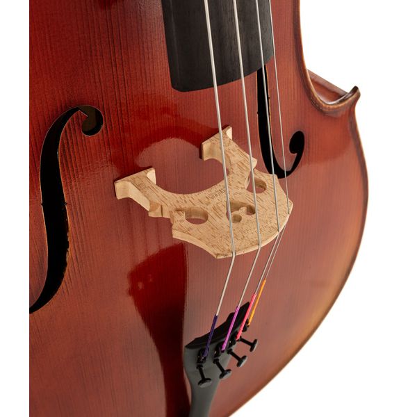 Gewa Allegro VC1 A Cello 4/4 CB