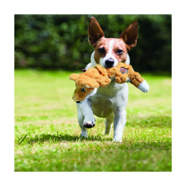 Peluche KONG Scunch Knots écureuil avec rembourrage corde pour chien