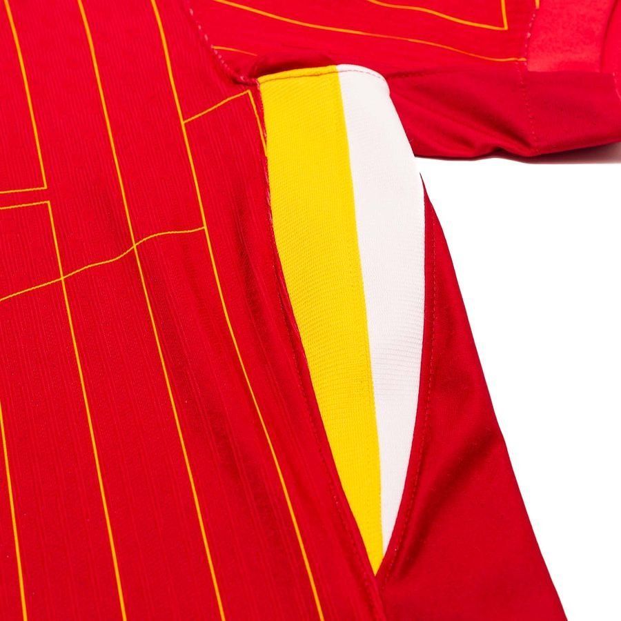 Liverpool Maillot Domicile 2024/25 Vapor Champions 25   Premier League Champions Badge de Manche