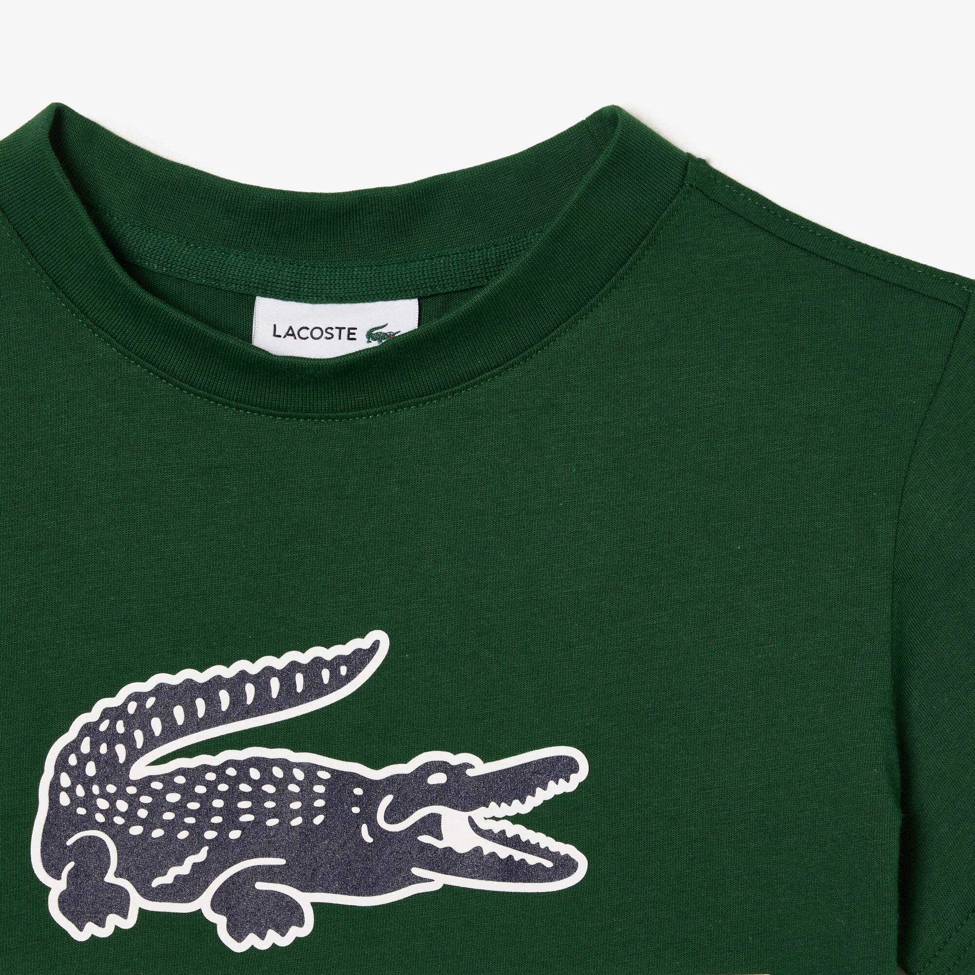 T-shirt avec imprimé siglé en jersey de coton T-Shirts & Chemises - Vert - Lacoste - Garçon