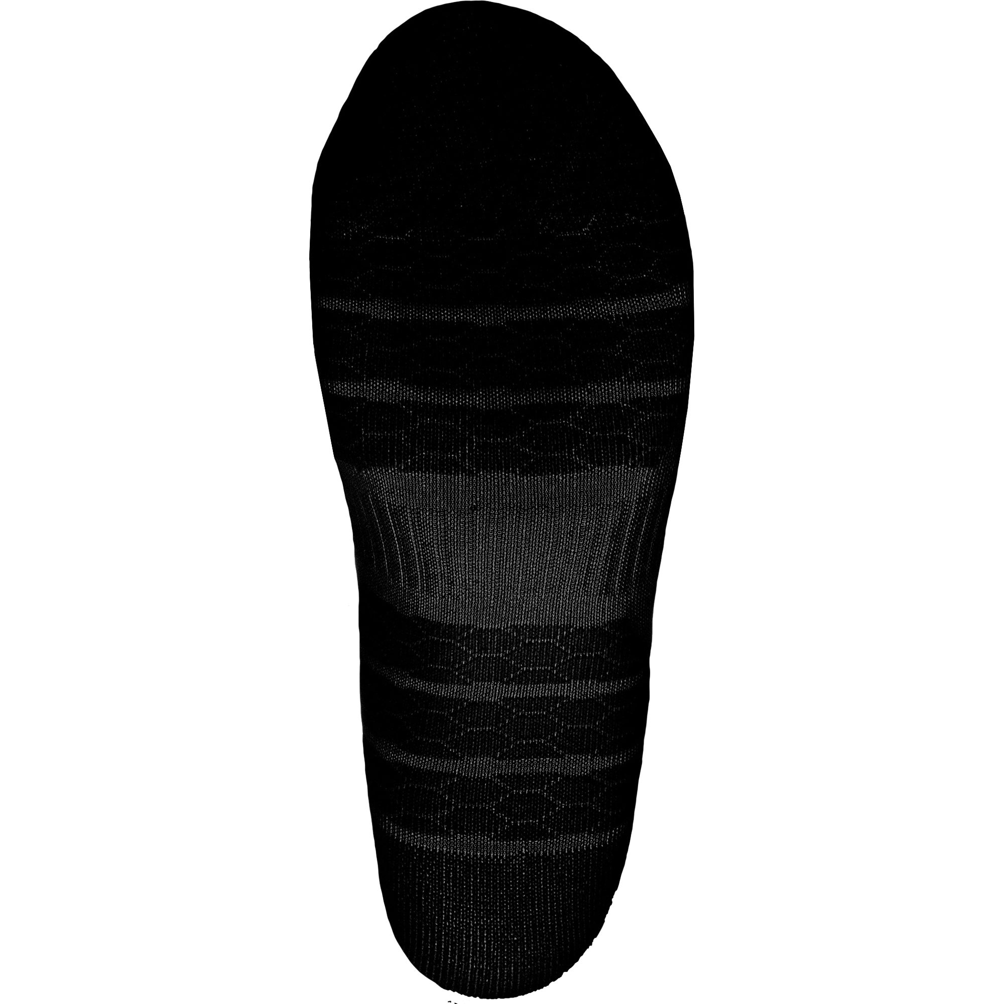 P.A.C. 3.2 Sport Recycled Stripes 2erPack Socken black