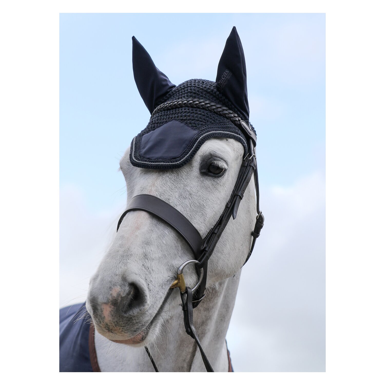 bucas Show-Line Collection Fliegenohren  - navy/grey - WB
