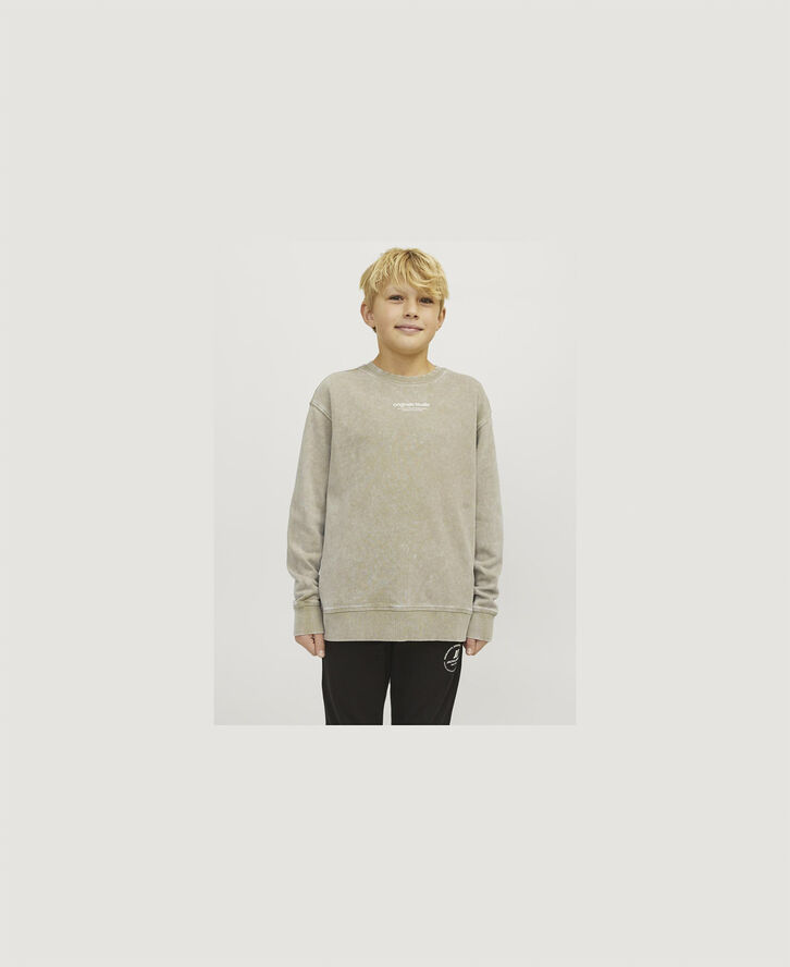 Jack & Jones JORVESTERBRO WASH SWEAT CREW NECK J Silver sage/loose