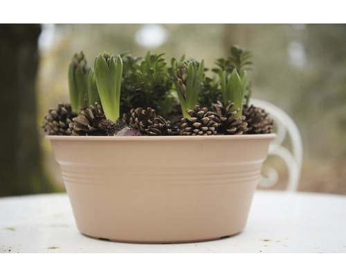 elho Green Basics plantenbak, kunststof, Ø 27 cm, H 27 cm, terracotta