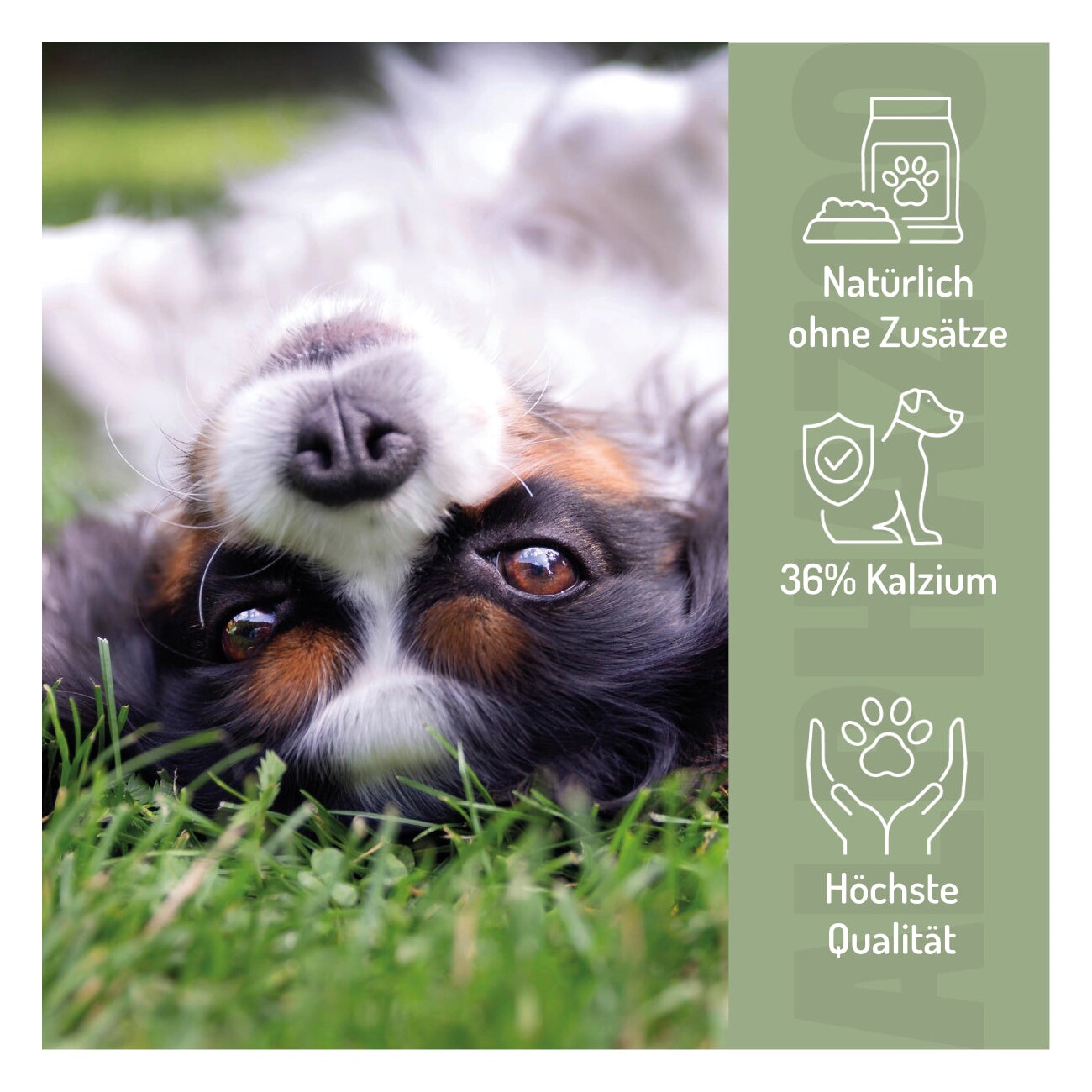 ALPHAZOO Eierschalen-Pulver für Hunde und Katzen 300 g