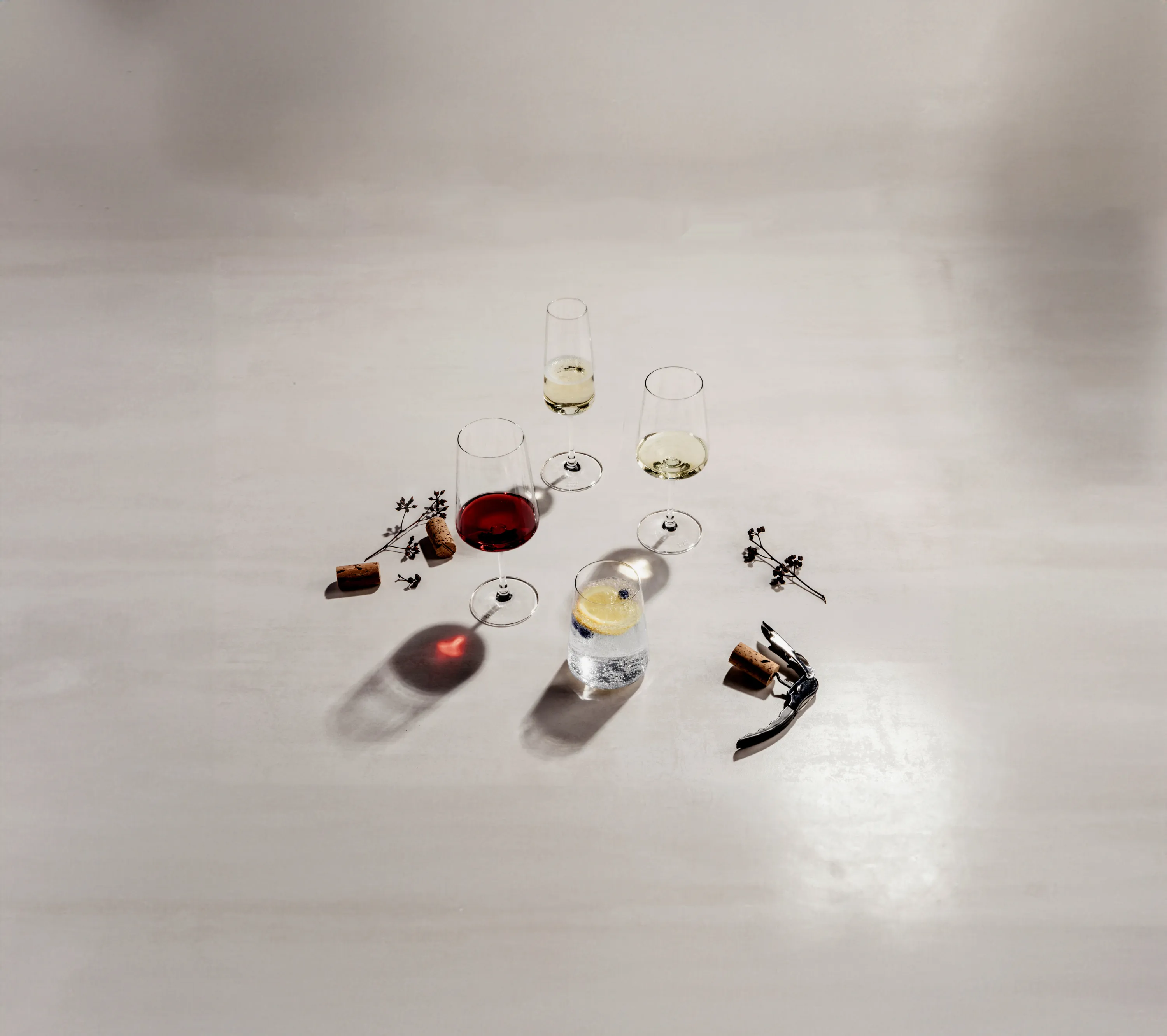 Schott Zwiesel MioVino Hvidvinsglas - 4 stk