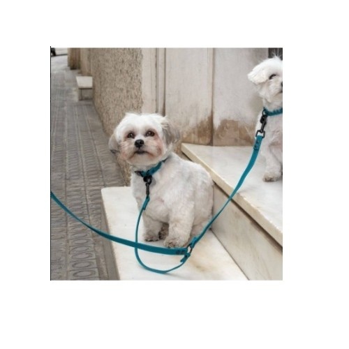 Guia dupla para cães Groc Groc Lucky na cor azul.