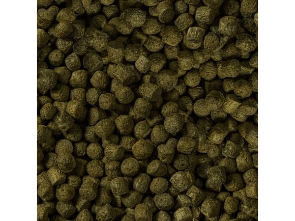 Sera Koi Color Large 3.800 ml, granulat - pokarm postawowy dla Koi