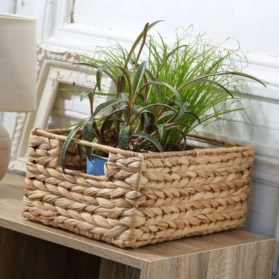 CALICOSY - Mand - Beige - 13x28x19 cm