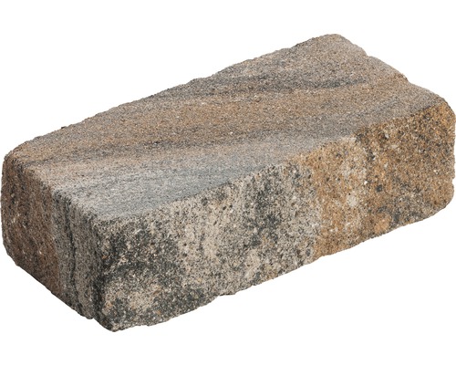 iBrixx Passion Maxi wandsteen, schelpkalksteen, 42 x 21 x 12,5 cm
