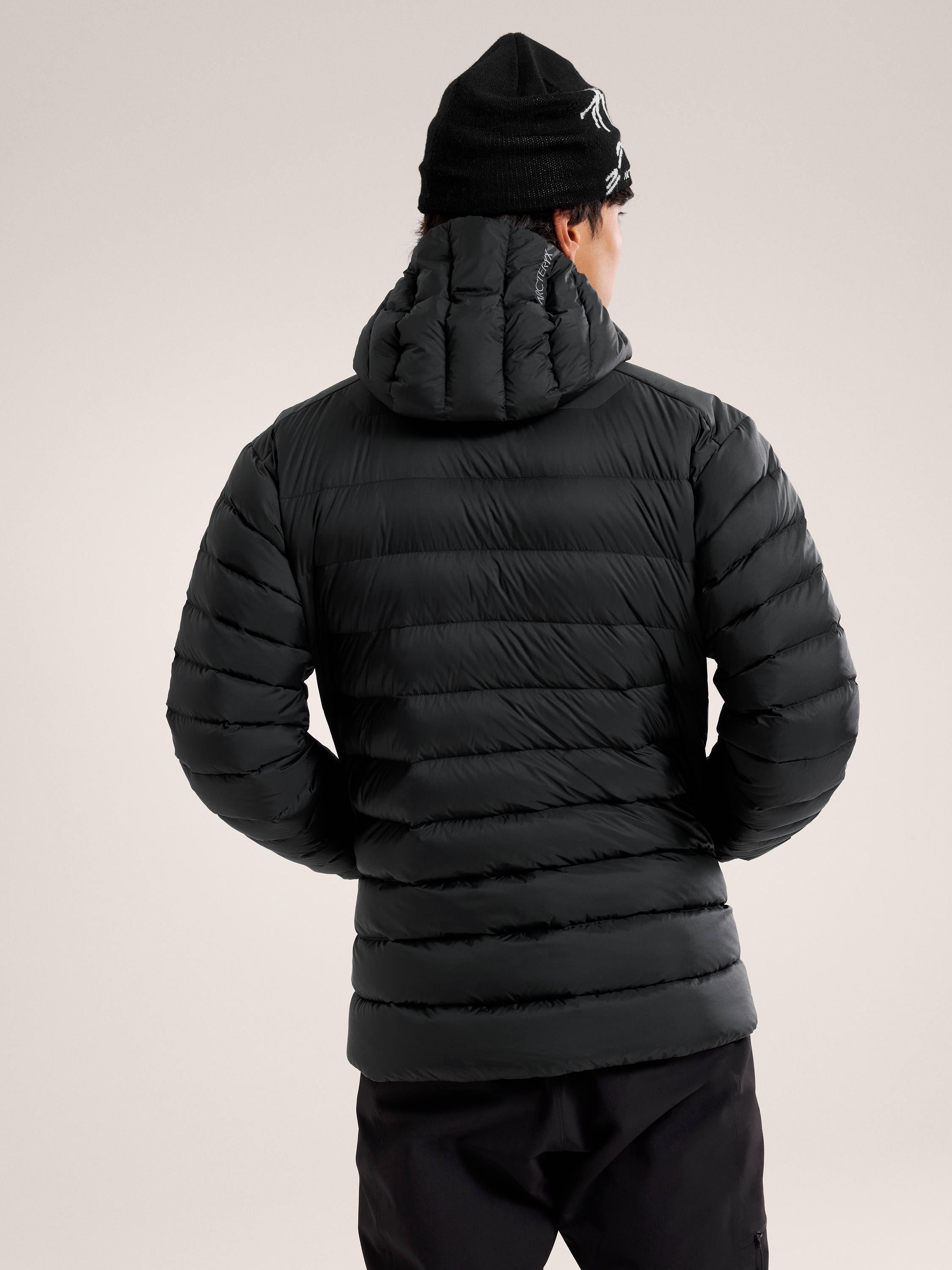 Arc'teryx Arc'Teryx Cerium Hoody M's
