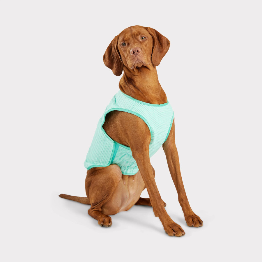 Colete refrescante GF Pet ElastoFit Ice para cães
