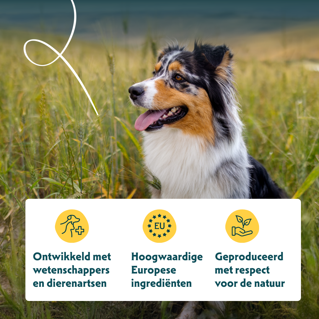 Yarrah - Droogvoer Hond Vega Bio