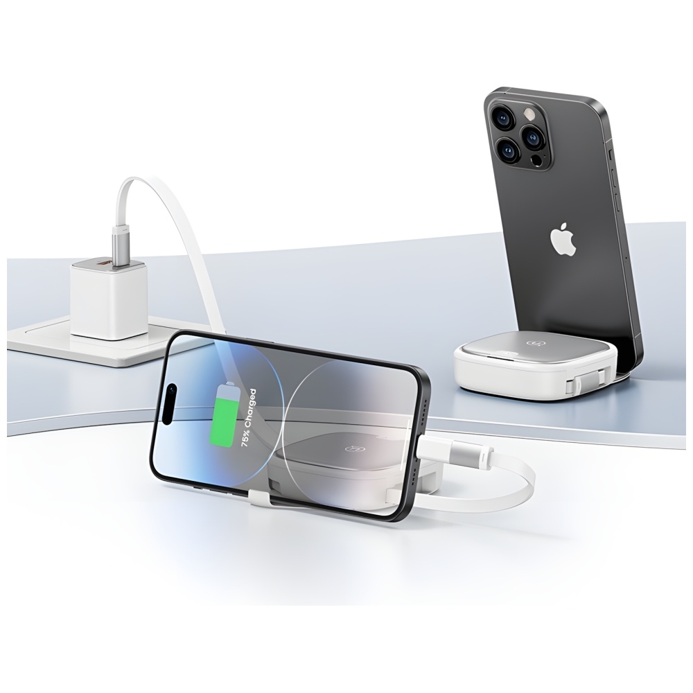 (1m) 60W 3in1 Mini Ausziehbares USB C auf USB C / Lightning / Micro USB Ladekabel Datenkabel mit Aufbewahrungsfach (USA001336) - Silber