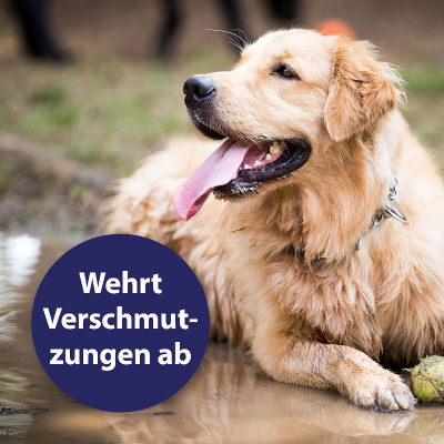 Canosept Fellpflegespray für Hunde 250ml