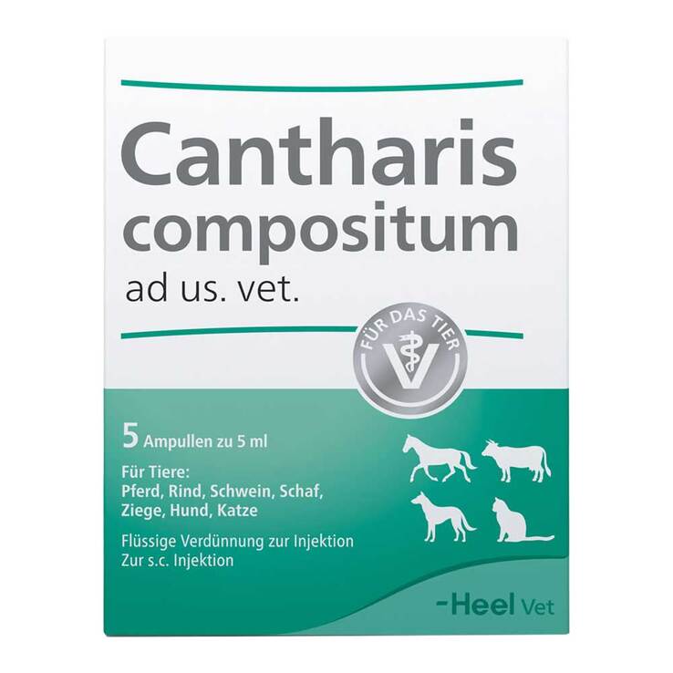 Cantharis Compositum Ampullen vet. (für Tiere), 5 St