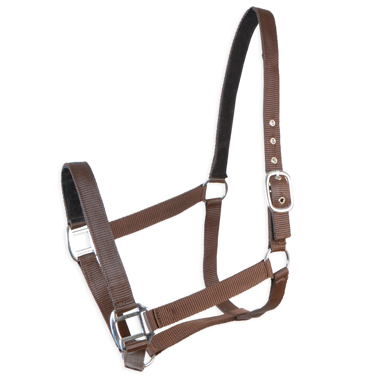 Cabresto duplo reforçado em nylon com ferragens em PVC e cromadas, disponível em várias cores e tamanhos.