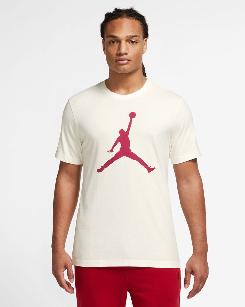 T-shirt Nike Jordan pour homme