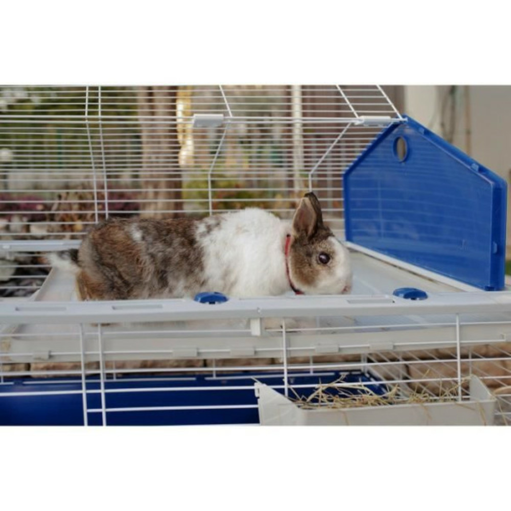 Cage pour lapins avec accessoires 78 x 48 x 65 cm - barn80 -