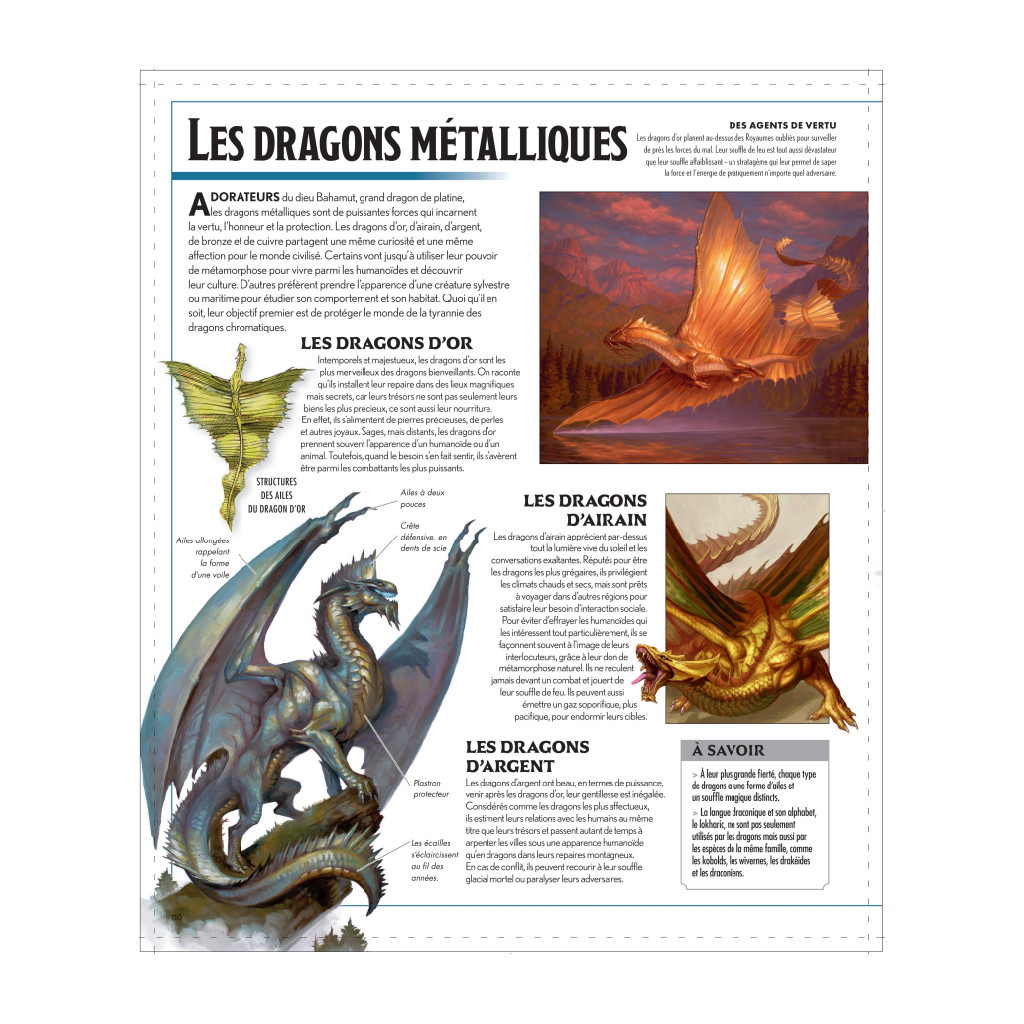 Dungeons & Dragons : La Légende de Drizzt - Le Guide Officiel des Royaumes Oubliés