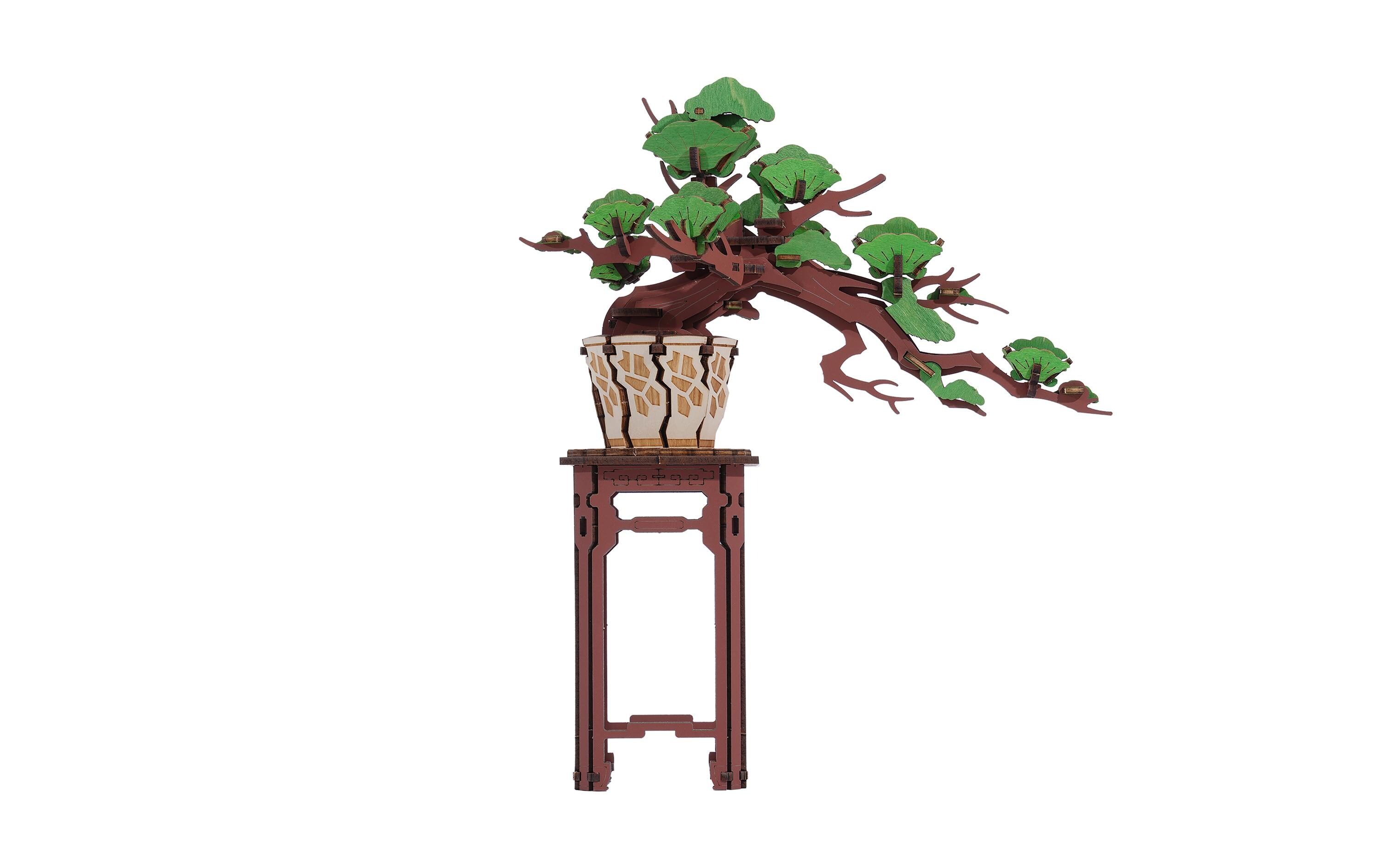Bausatz Immergrüner Pinien Bonsai3D-Puzzle aus lasergeschnittenen Holzteilen