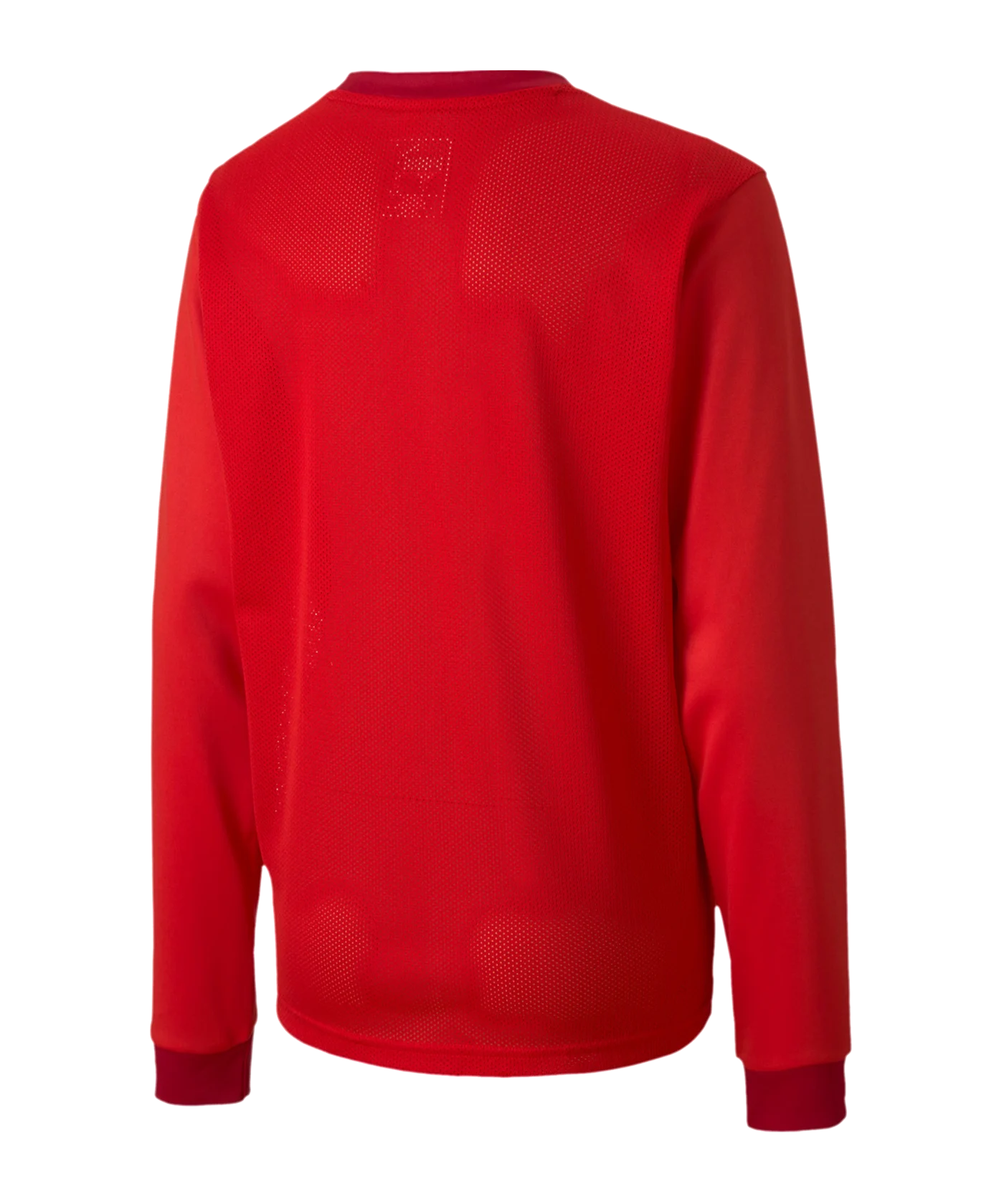 PUMA teamGOAL 23 Trikot langarm Kids Rot F01