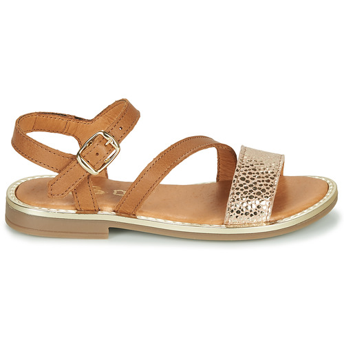 GBB - FANA - Marron